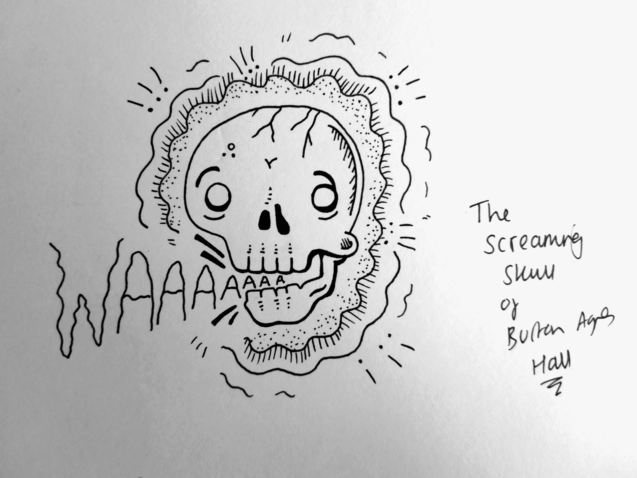 Illustrated Ghost Stories 2. The Screaming Skull of Burton Agnes Hall